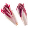 Red Belgian endive