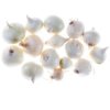 Pearl Onion