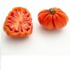 "UZI" tomato