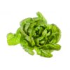 Romaine lettuce