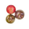 Watermelon" plum"