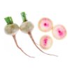 Watermelon radish