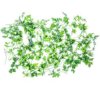 Parsley
