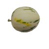 Canary melon