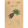 Purple Carrot Seeds