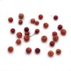 Panama berry