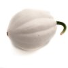 Snow pumpkin