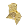 Freeze-Dried Pineapple