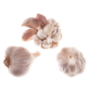 Israeli Garlic Heads – Pack