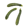 Zebra zucchini