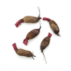 Baby Cylindra Beets