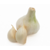 Tal Garlic