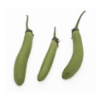 Long Green Eggplant