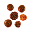 Brown/Striped Marmande