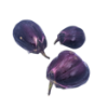 Mizunasu Eggplant