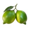 Italian Interdonato Lemon