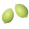 Italian Eureka Allen Lemon