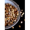 Coriander seeds