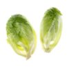 Gambit Lettuce