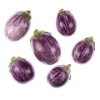 Striped Baby Eggplant