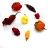 Super Hot Mix