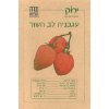 Oxheart Tomato Seeds