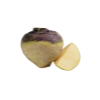 Rutabaga root
