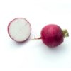 Radish