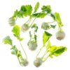 Baby Kohlrabi