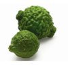 Kaffir lime 