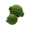 Kaffir lime 