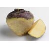 Rutabaga root