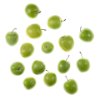 Green unripe plums