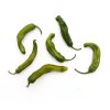 Shishito pepper