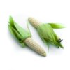 White corn