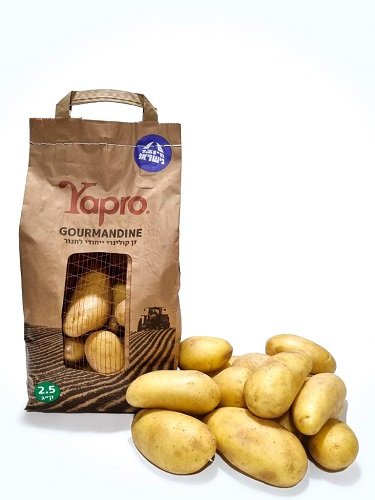 Gourmandine potato