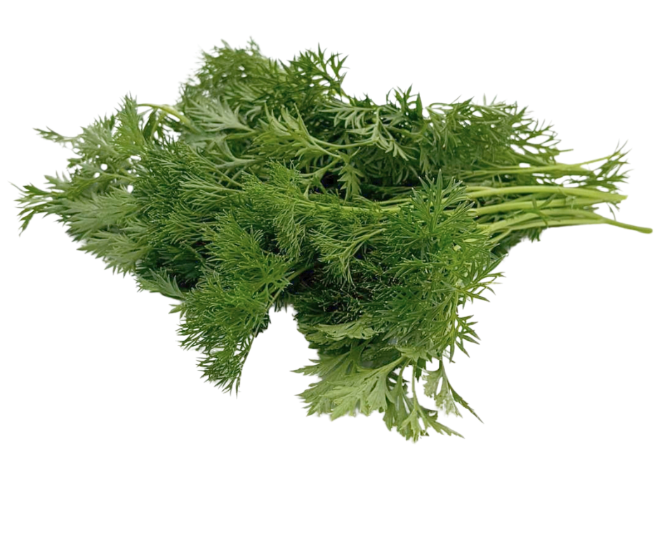 French Flat-Leaf Parsley