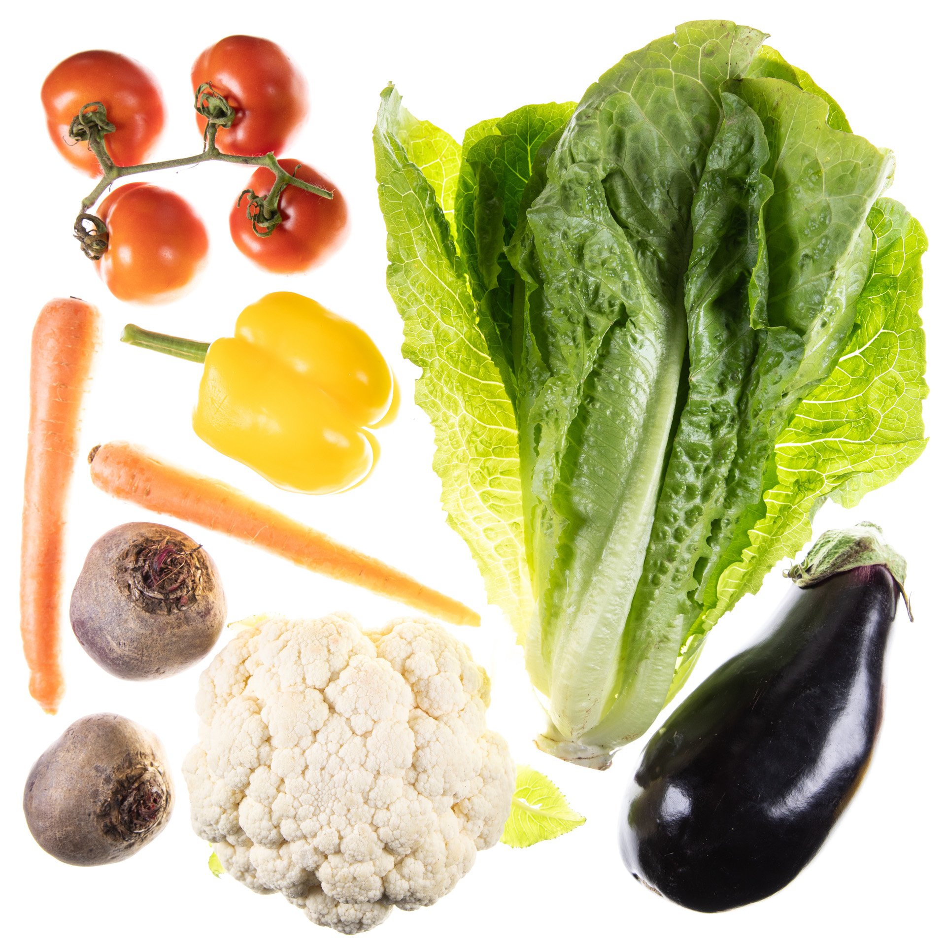 Five-Color Vegetable Box