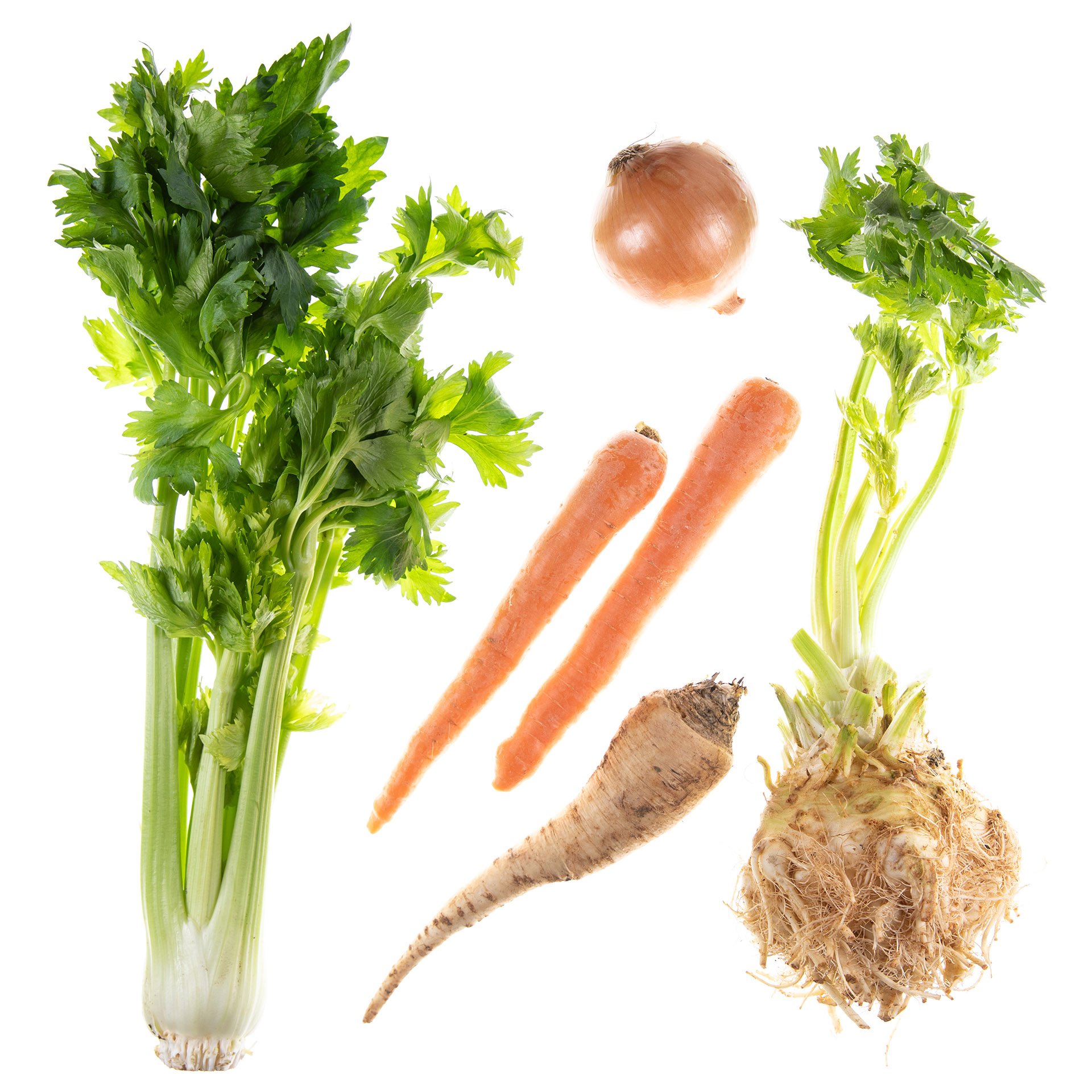 Winter Soup Base Kit