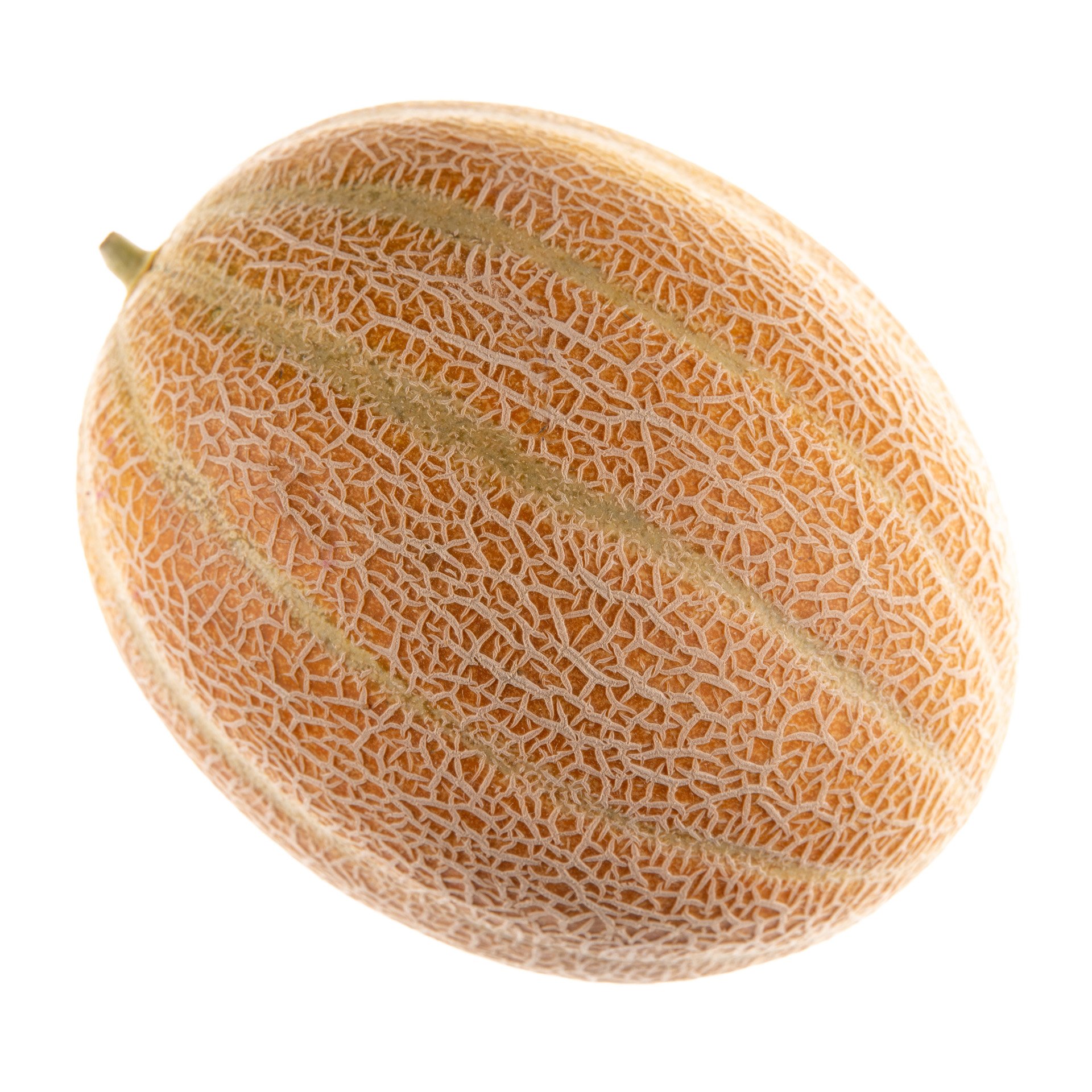 Cantaloupe