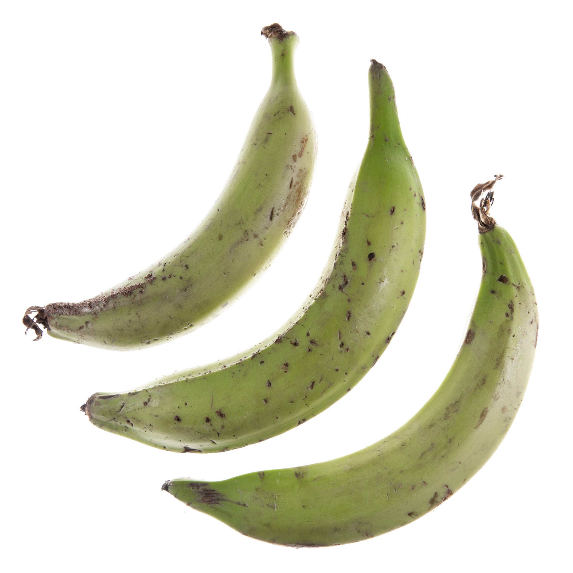 Plantain