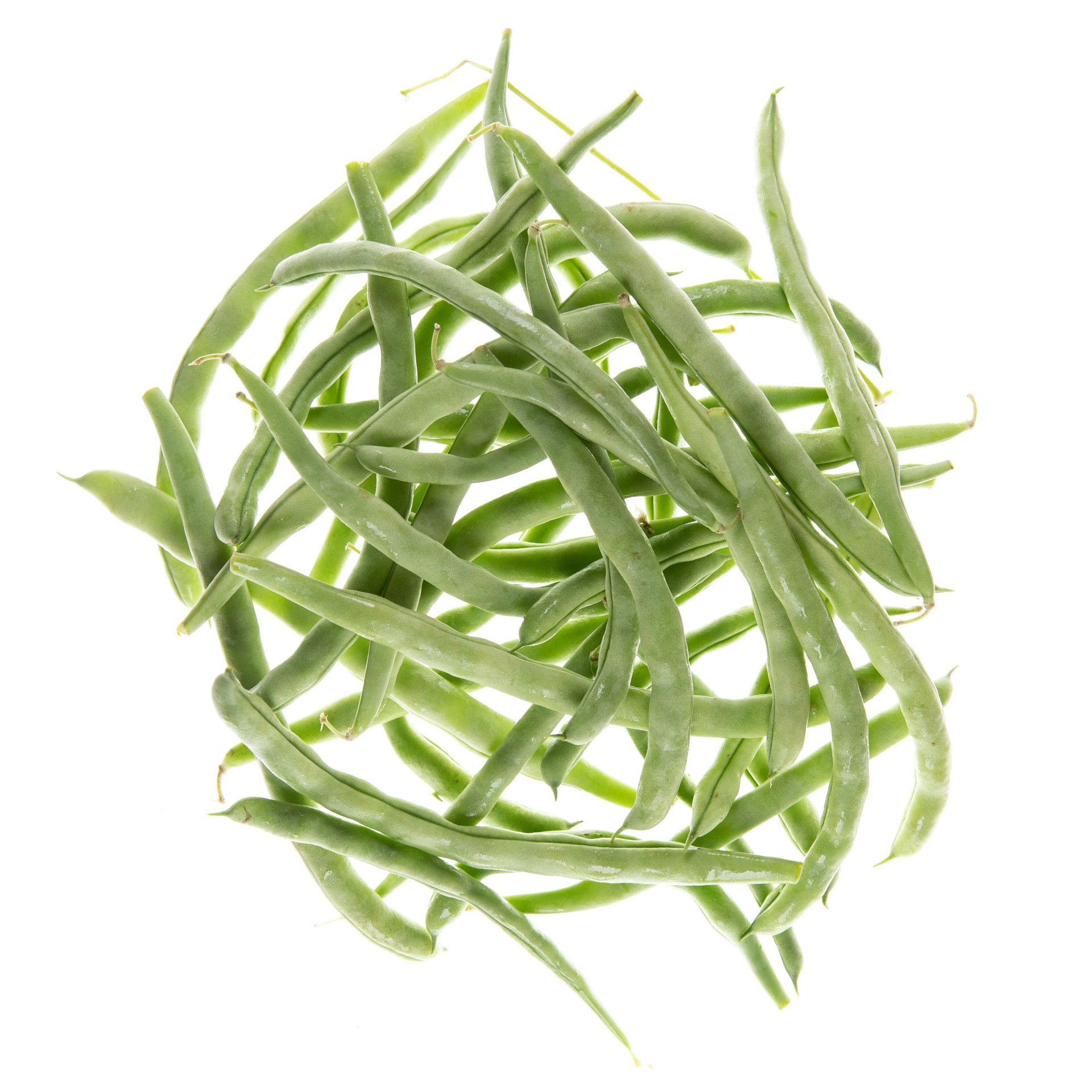 Broad (Italian) green beens