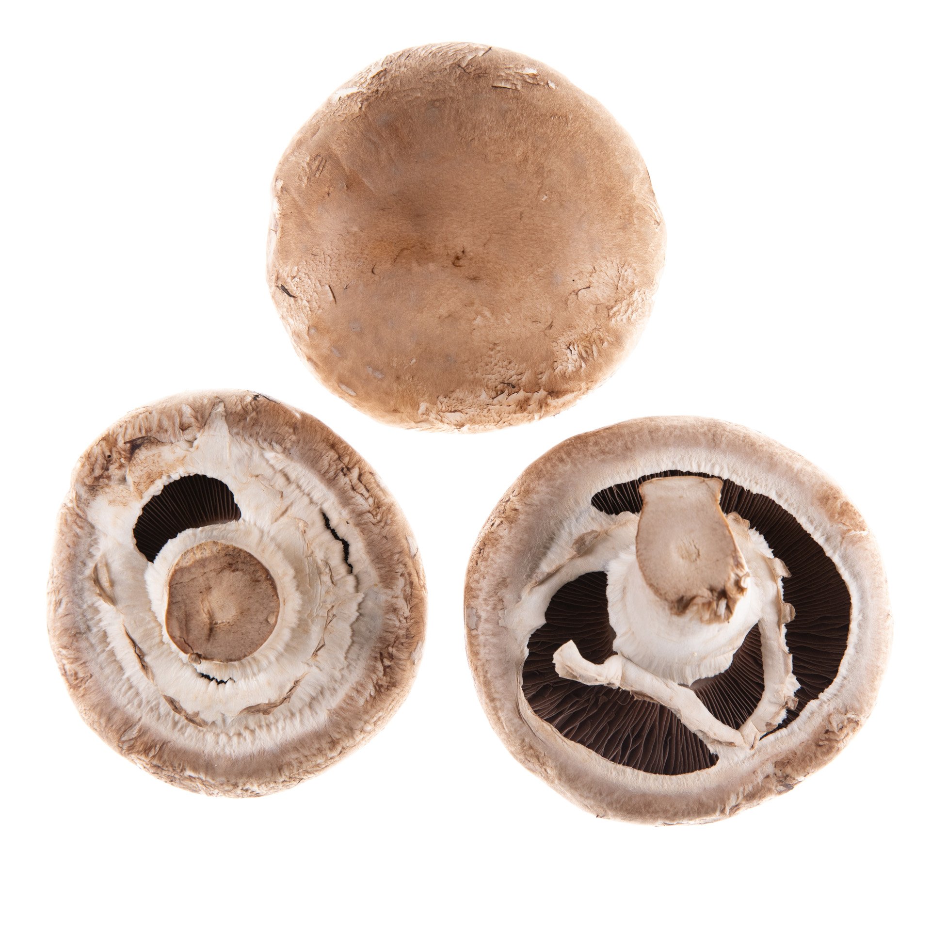 Portabelo mushrooms