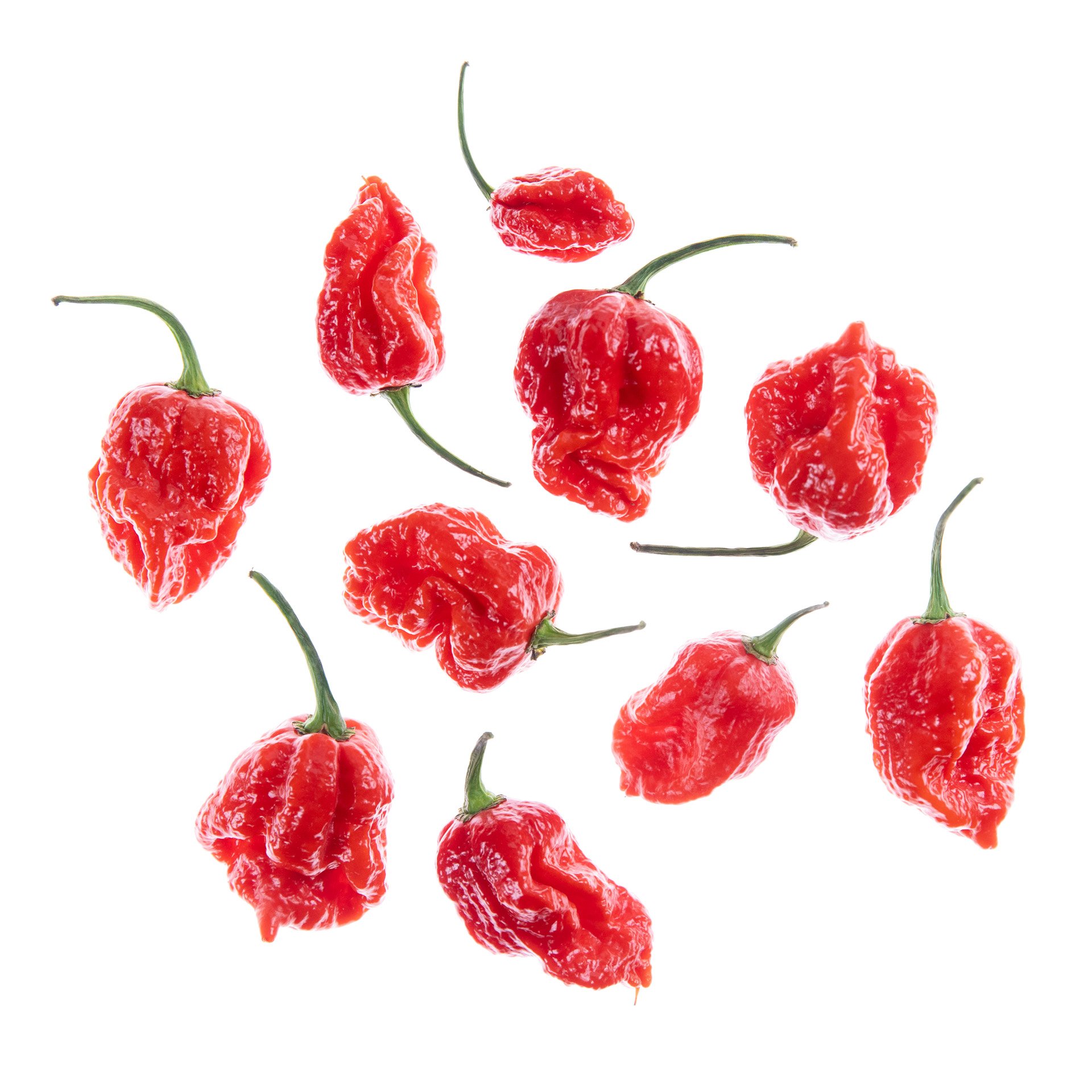  Carolina reaper peppers