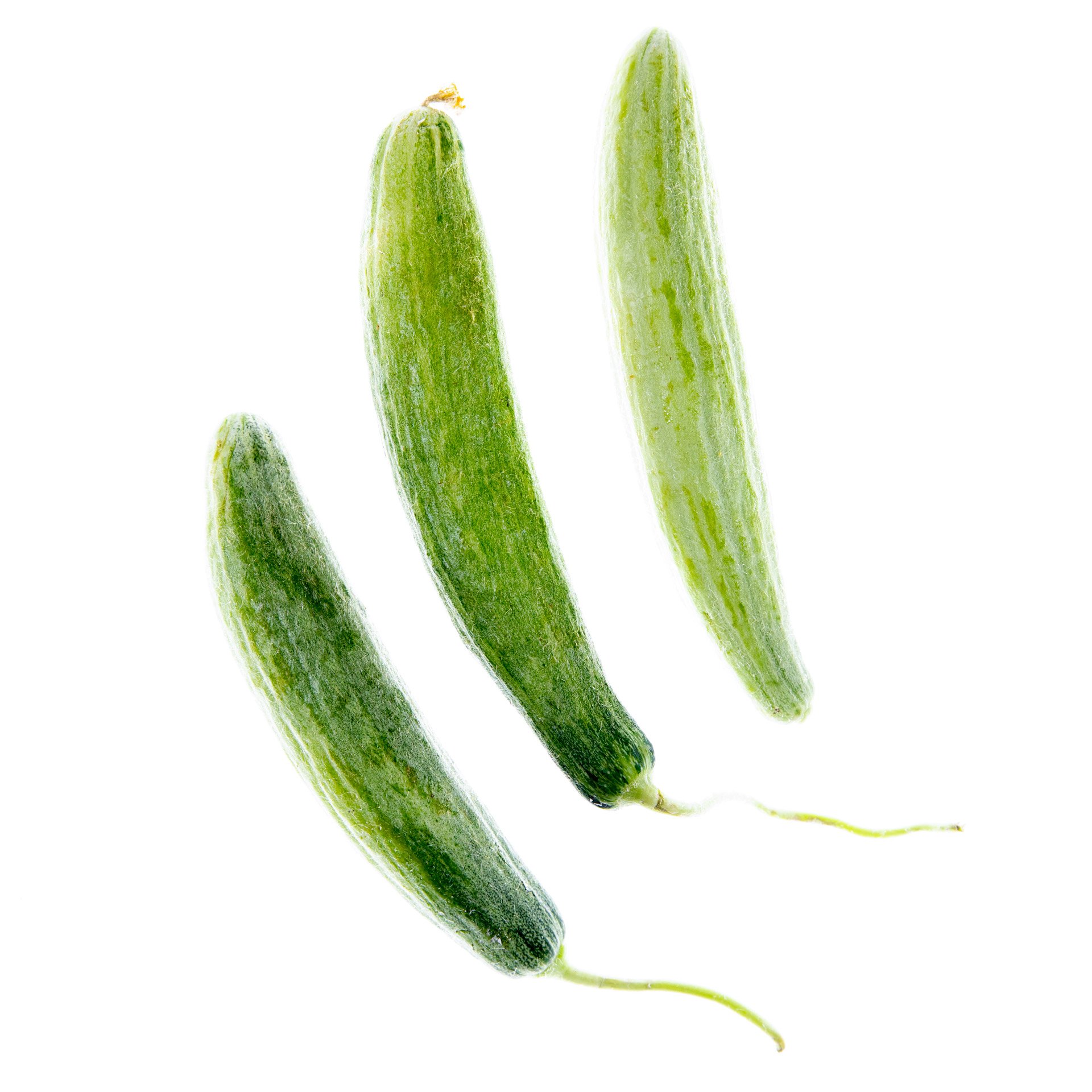 Snake melon / Armenian cucumber