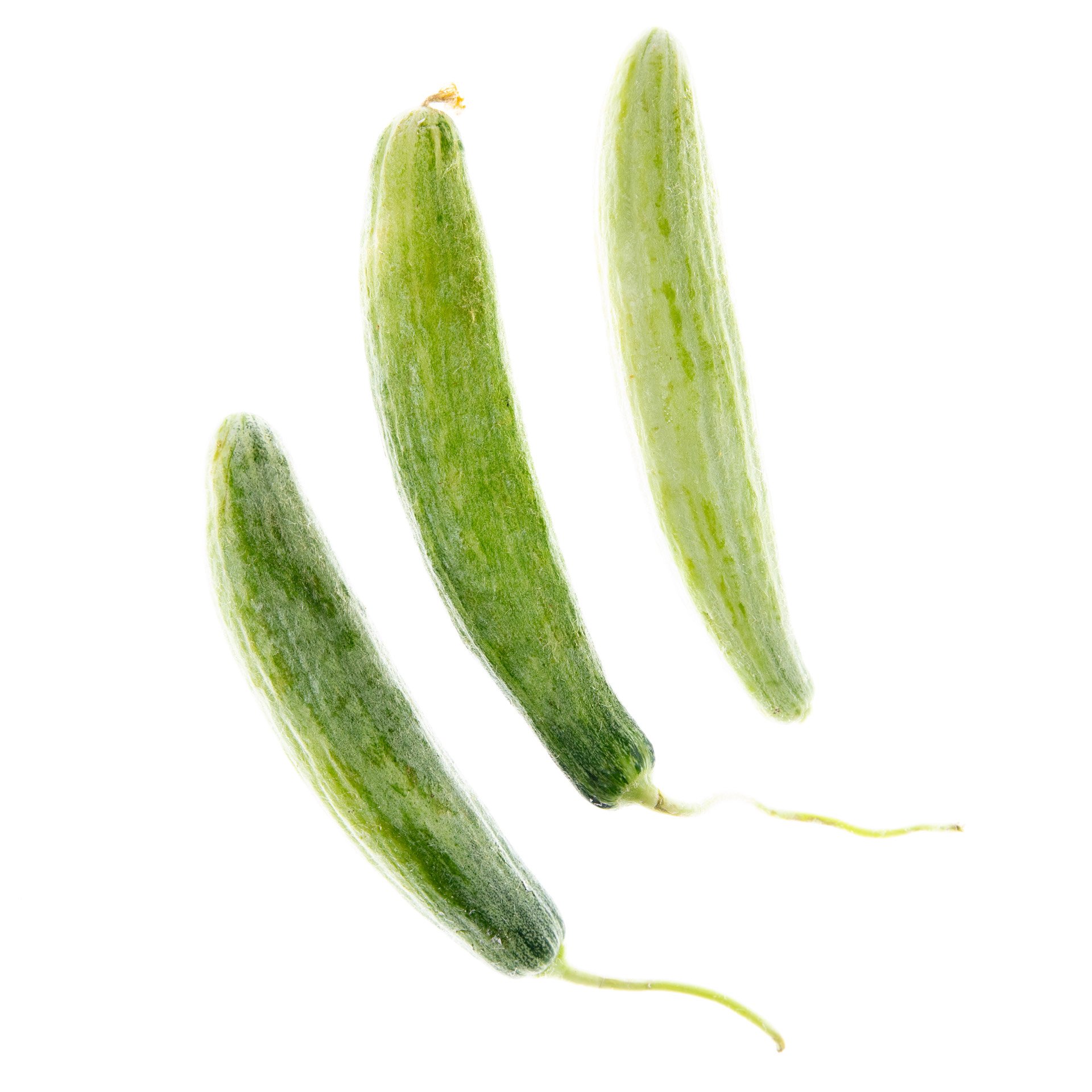 Snake melon / Armenian cucumber
