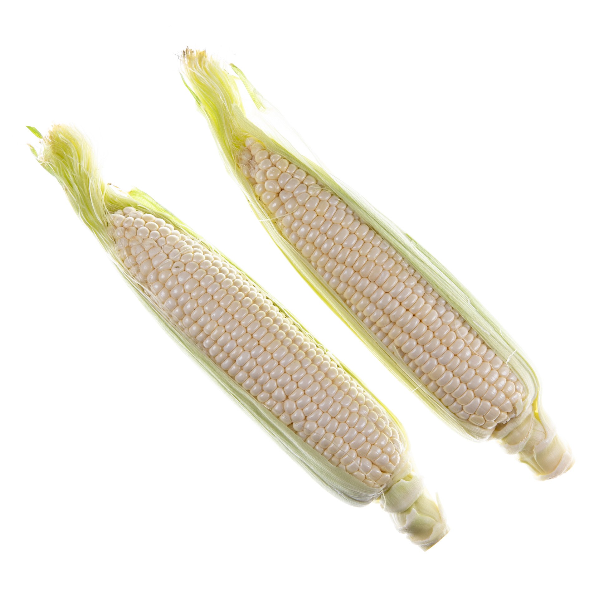 White corn