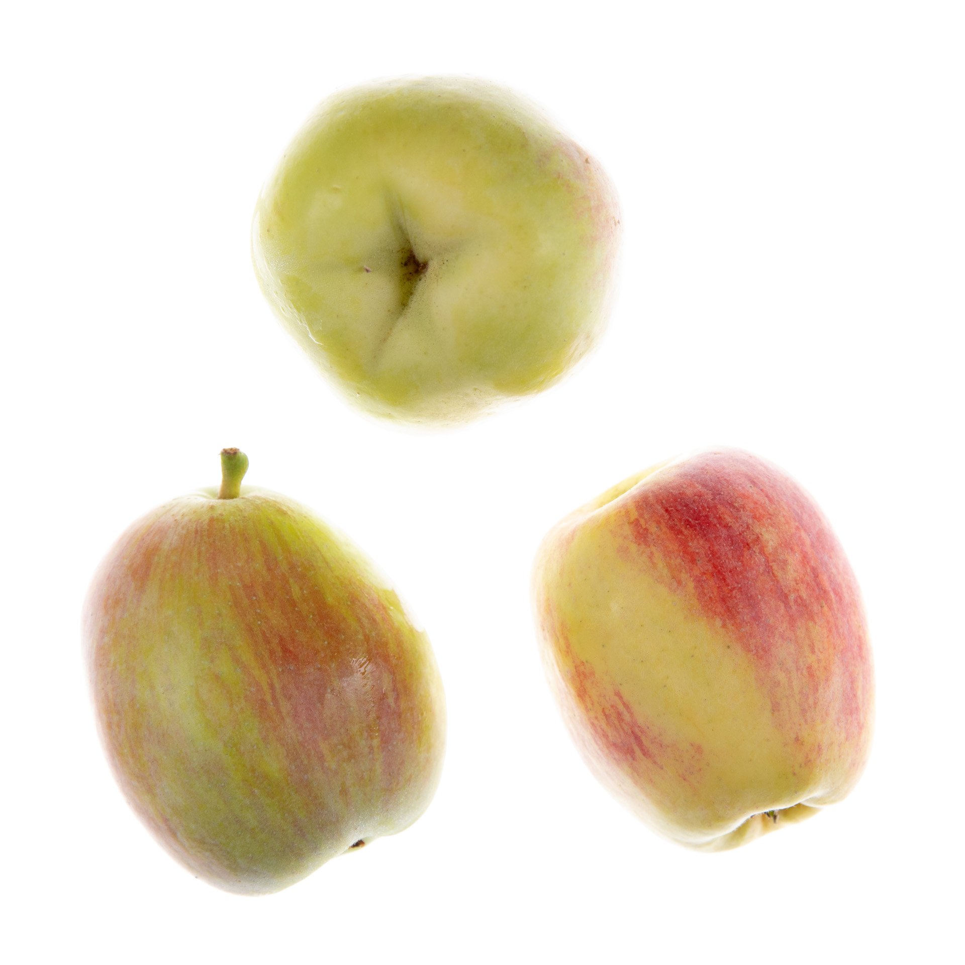 Anna apple
