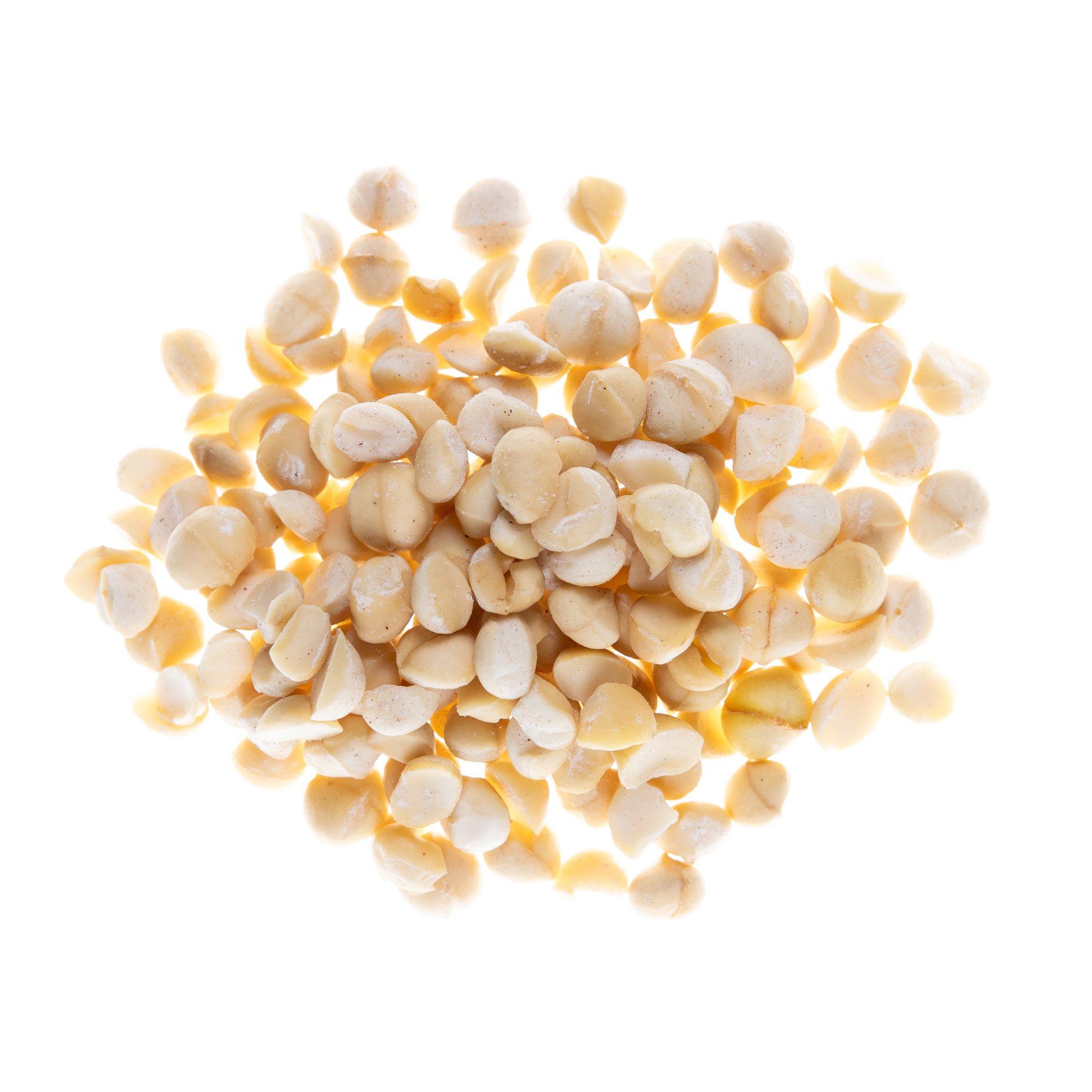 Macadamia