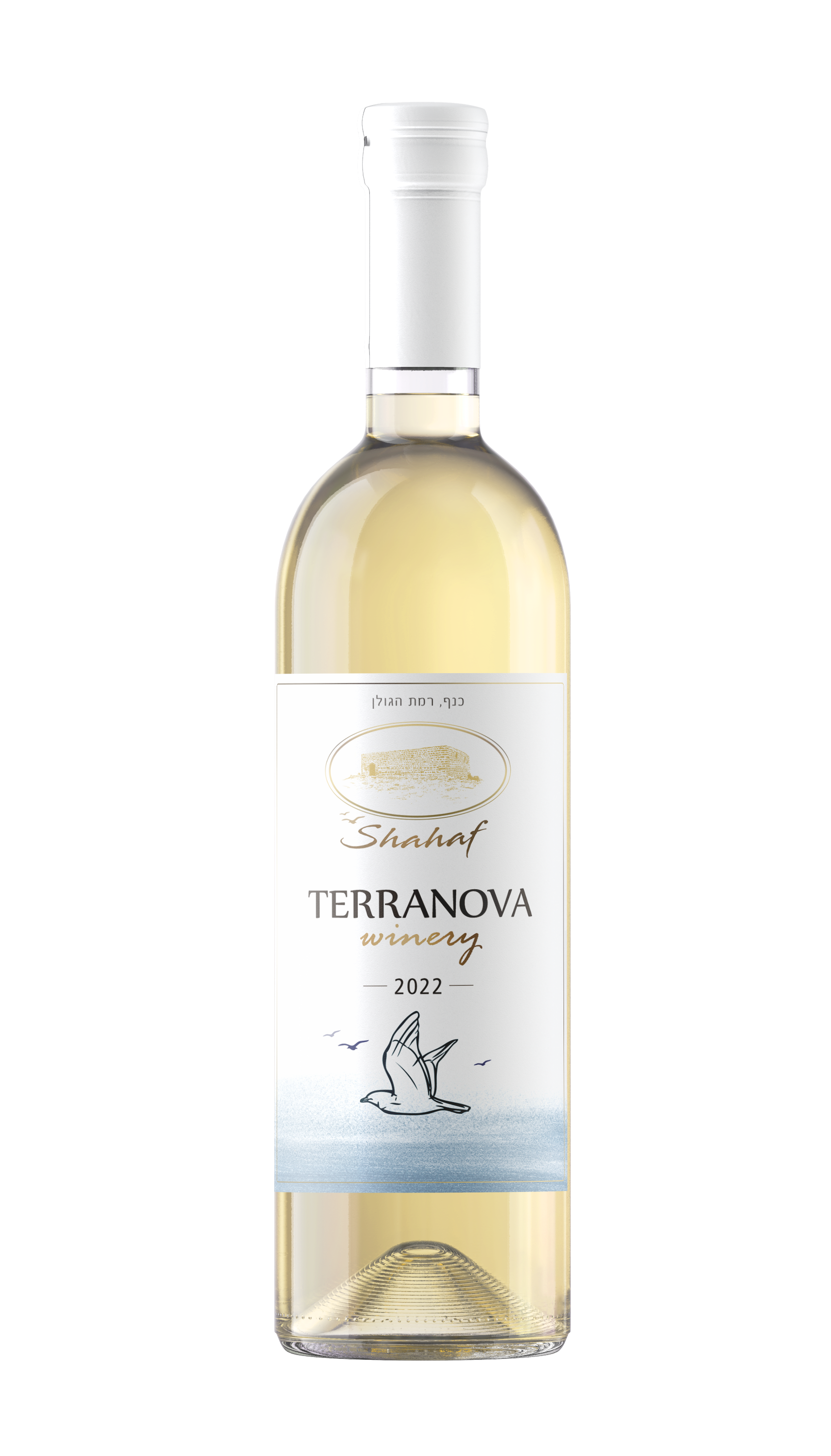 White wine - Shahaf 2022 Terra Nova